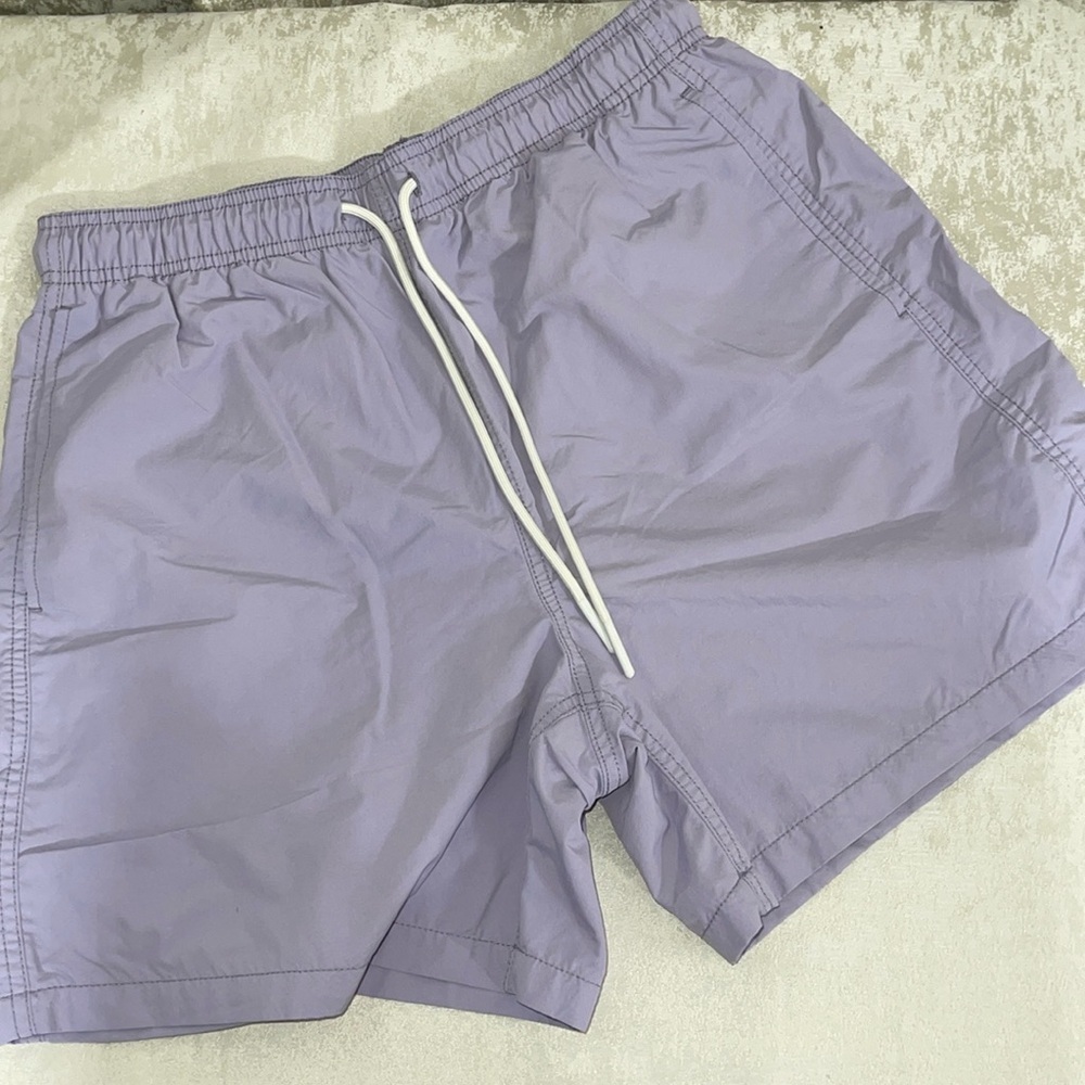 Standard cloth lavender shorts size large